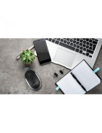 BLUETOOTH QUIET CLICK MAC MOUSE BLACK/SPACE GRAY MOUSE FOR MAC & PC
