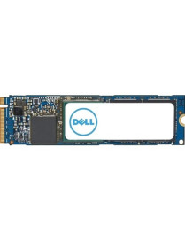 1TB DELL M.2 PCIE NVME CLASS 40 SOLID STATE DRIVE 